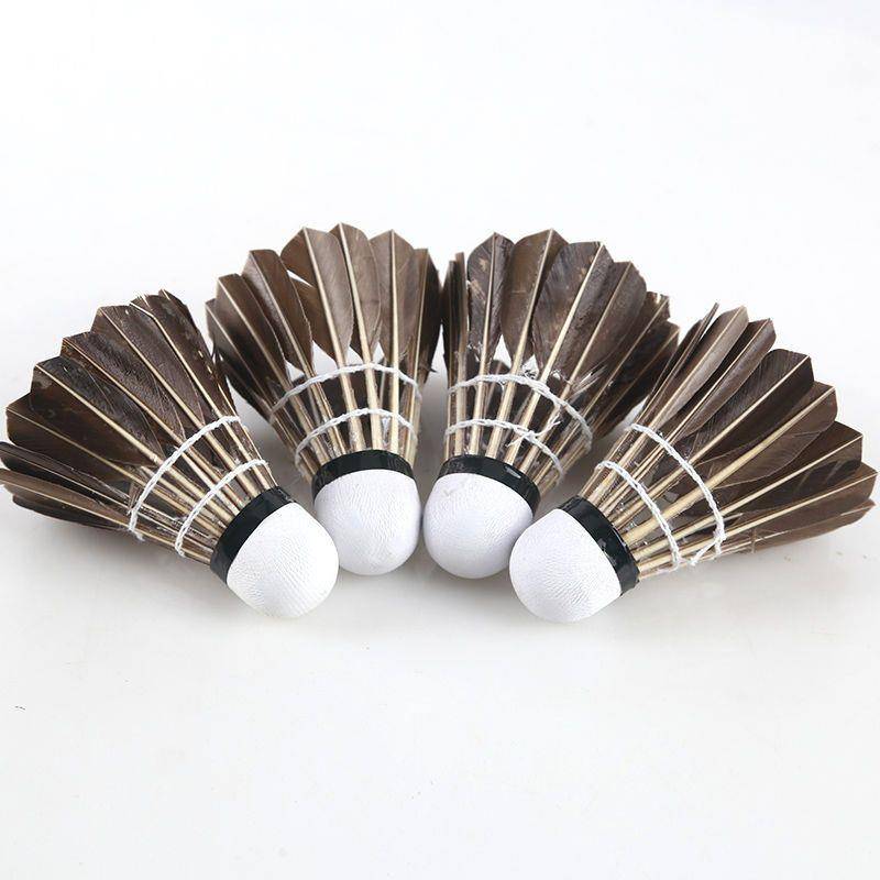 "Delhui badminton 12"